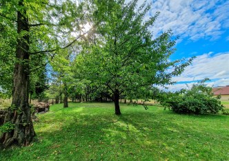 działka na sprzedaż - Gorzyce, Turza Śląska